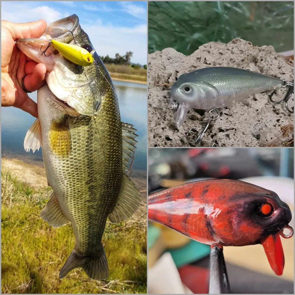 WLure-señuelo de despertar de 5,7 cm en la superficie inferior, cuerpo duro de pesca sin pintar, 10 señuelos por juego UPC655