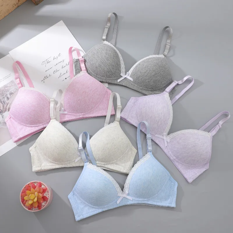 Last 2 PS Lace Cotton Sexy Bra Push Up Bras For Women thin wireless soft underwear bra sexy gathering small brasiers for ladies