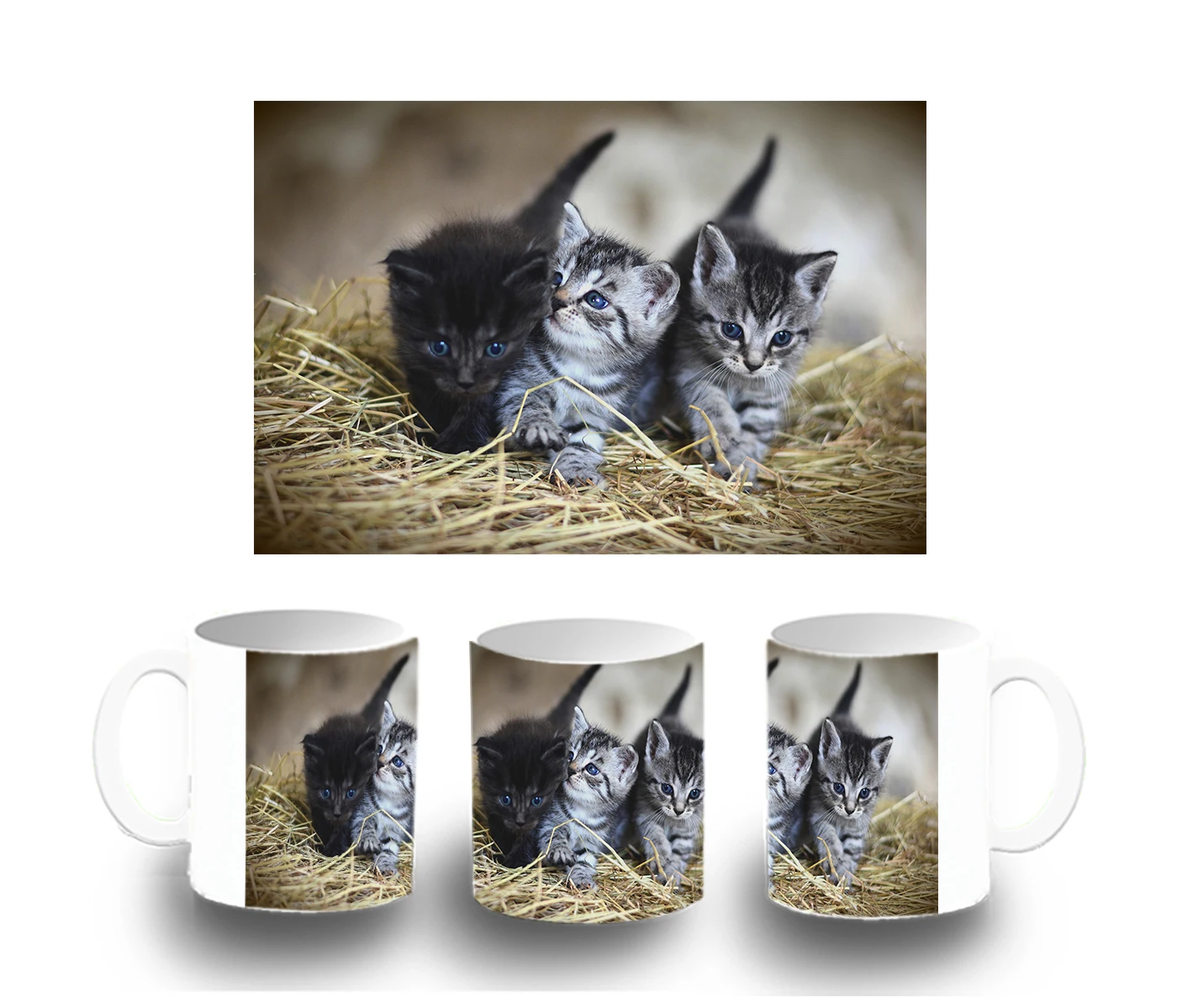 Plastic CUP KITTENS SO CUTE plastic mug