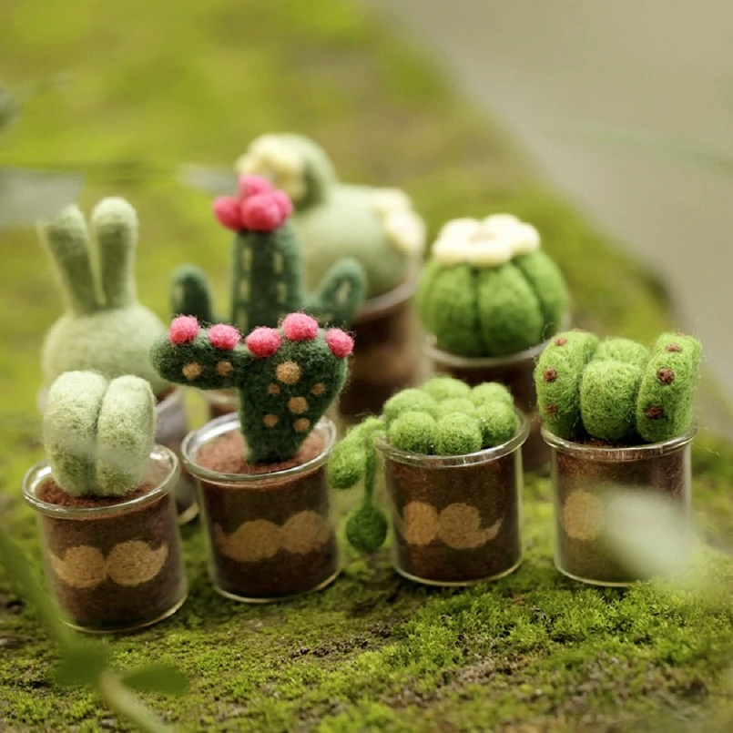 Cactus Needle Felting Kits with Glass Pots, Felting Starter Kit, Contains Enough Felting Wool and Tools, English Manual