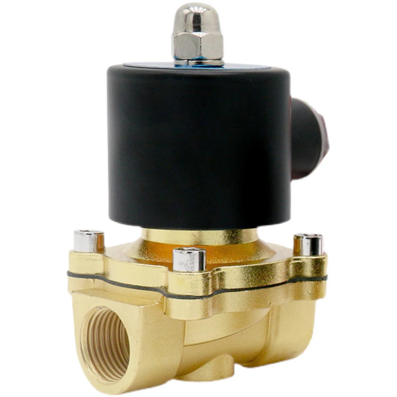 2W Series Normally Closed 2/2 Way Pneumatic Solenoid Valve Water Air Gas Oil Brass Valve NBR DC AC 12V 24V 110V 220V 2W025-08