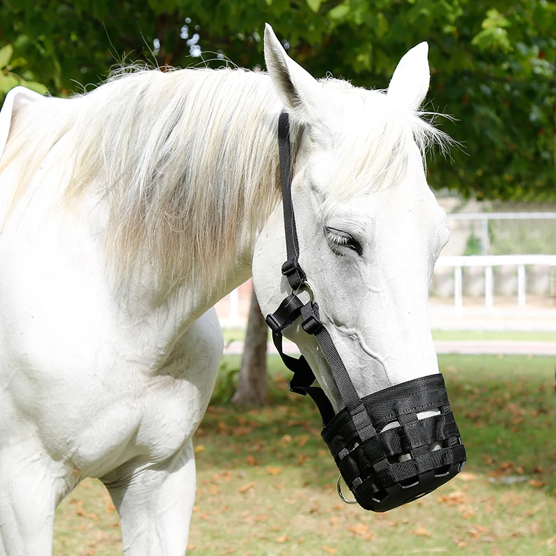 Cavpassion-Horse Grazing Muzzle with Halter, Equestrian Equipment, Easy Breathe, Comfortable, 8216012