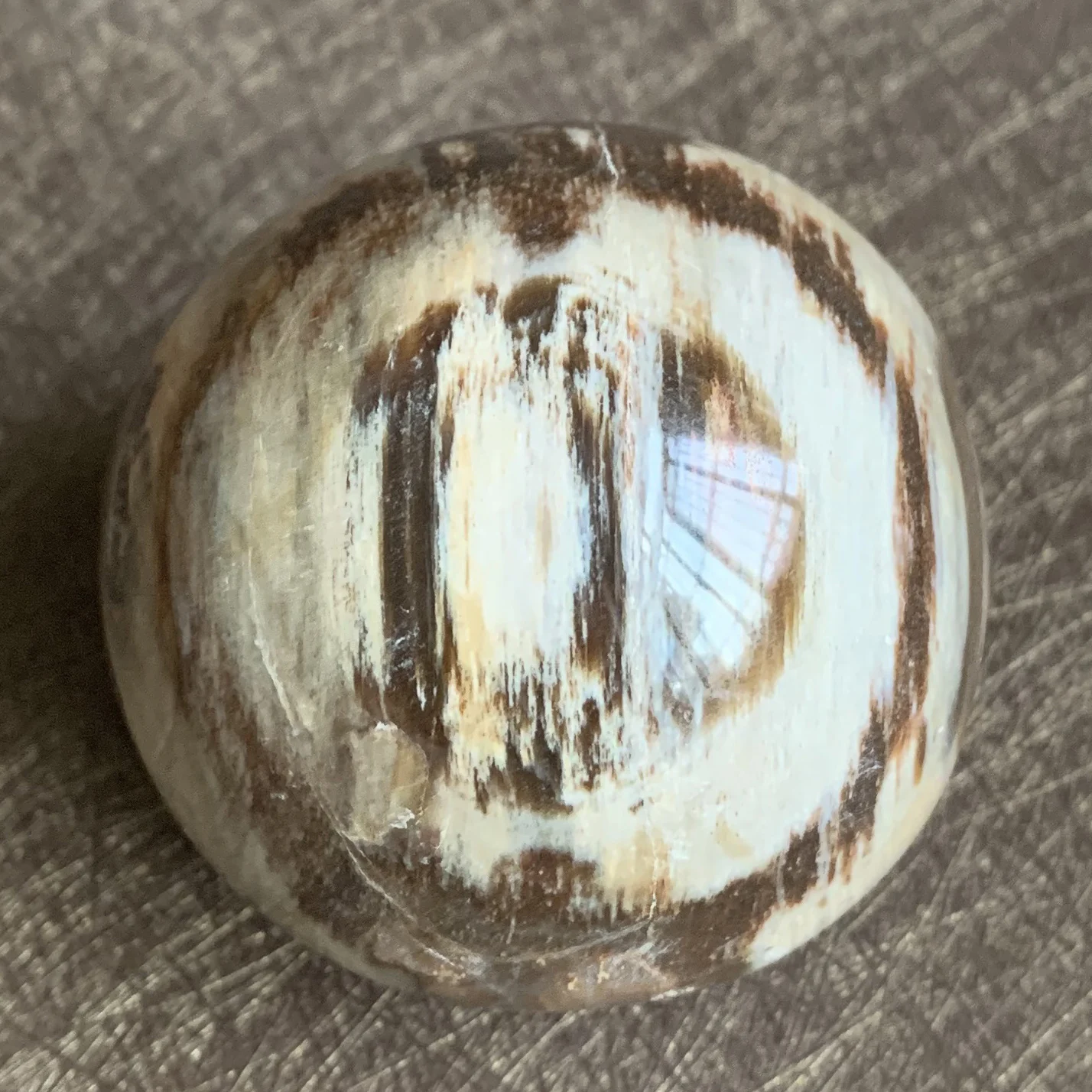 Natural Stone Petrified Wood Sphere Rock Polished Crystal Ball Quartz Feng Shui 2022 Decoration Gift Reiki Healing