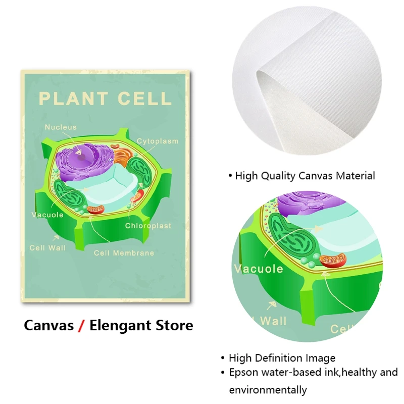 Animal and Plant Cell Biology Posters and Prints Science Educational Wall Art Canvas Painting Pictures Laboratory Office Decor