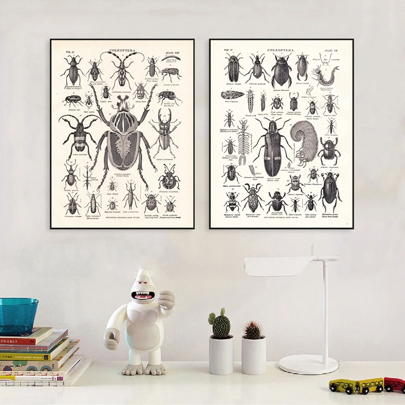 Vintage The Beetle Family Print Biology Education Poster From 1904 Encyclopedia Britannica Retro Wall Art Canvas Painting Decor