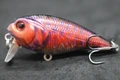 HC655X441