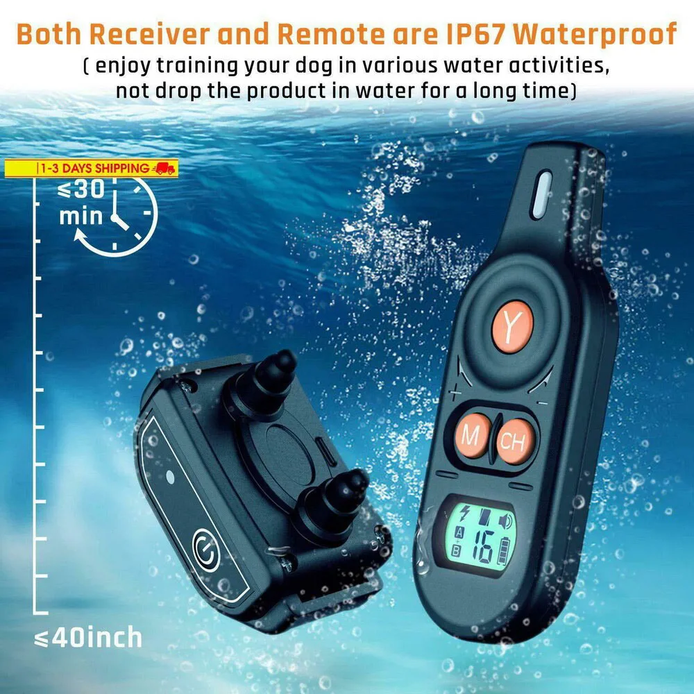 

Двухканальный тренировочный ошейник для собак, новая версия 2019 года, водонепроницаемый BNF