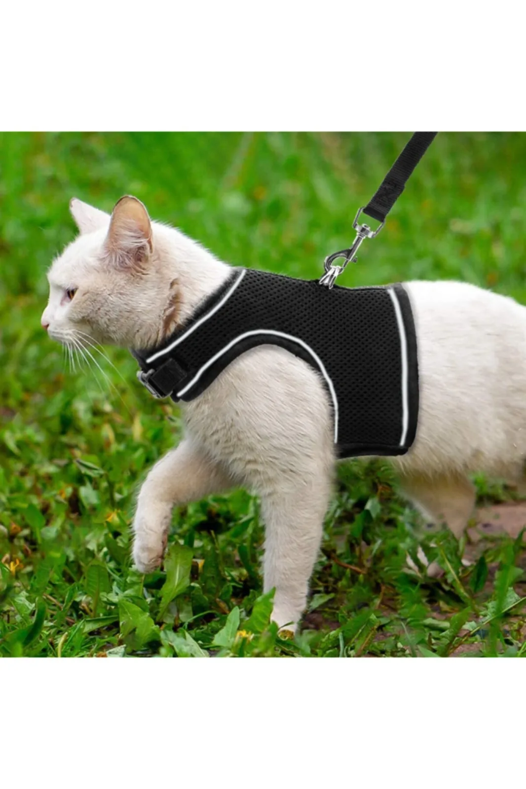 Breathable Pet Harnesses Vest Soft Mesh Chest Harness Pet Training Supplies Adjustable Outdoor Walking Lead Leashs For Cats