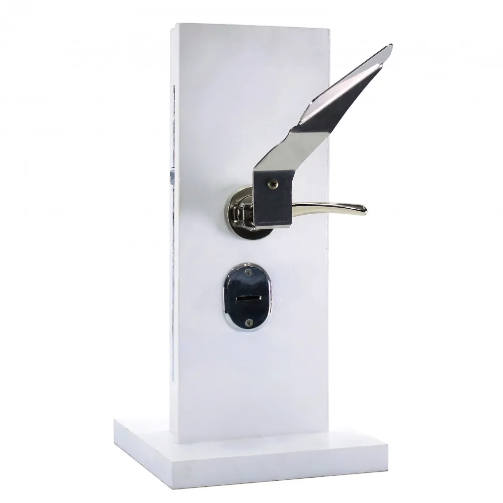 Set di maniglie per porte igieniche professionali per interni ed esterni (HDH-01)
