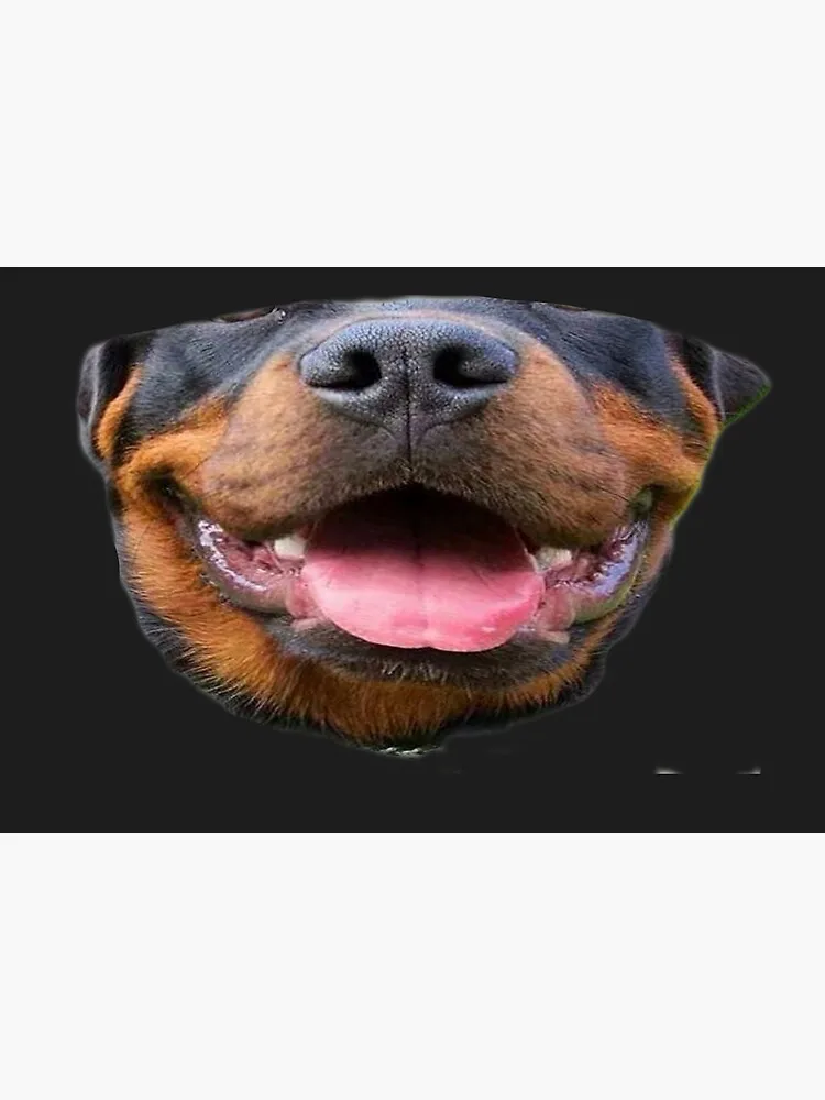 Masker Wajah Rottweiler Doggo Masker Wajah Kain Saku Filter Dapat Dicuci Kembali