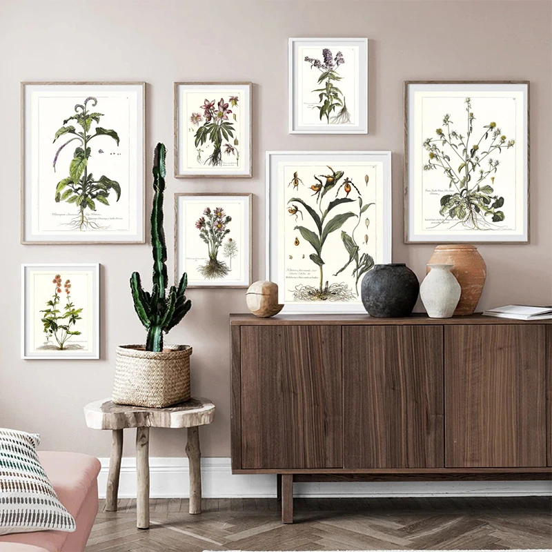 French Botanical Posters and Prints Plants Flowers 17th Century Vintage Wall Art Canvas Painting Pictures Living Room Home Decor