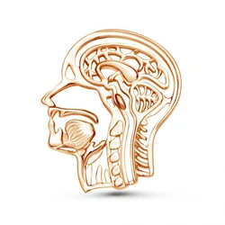 Harong Enamel Human Head Anatomy Pins Gold Color Medicine Anatomic Brooch Metal Badge Medical Student Teacher Jewelry Gift