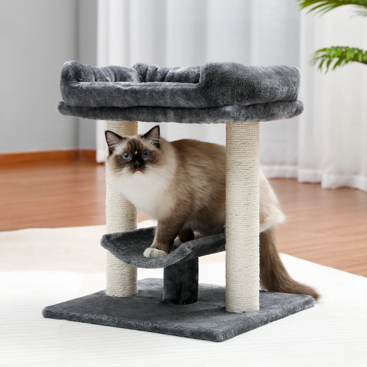 H48CM Small Cat Tree with Top Large Perch Bed Curved Platform 2 Fully Wrapped Scratching Post for Cat rascador gato arbre à chat