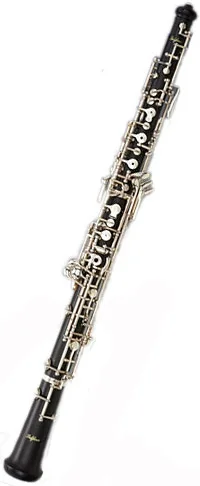 مراجعة شاملة لـ Oboe Bulgheroni FB-105/3: لماذا يُعد الخيار المثالي للموسيقيين المحترفين؟