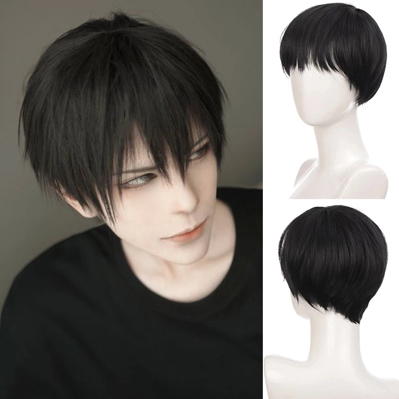 Ailiade Black Men's Wigs 12