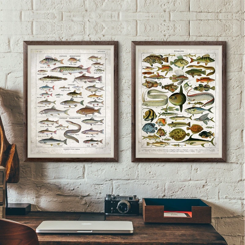 Fish Vintage Poster French Version Poisson Office Wall Art Picture Canvas Painting Prints France Home Wall Decoration