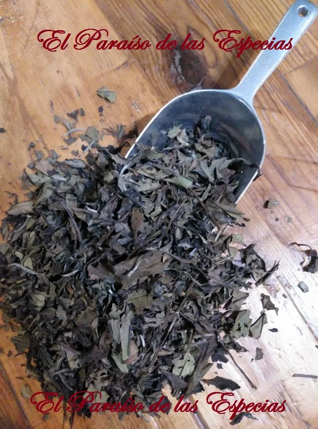 테 블랑코 중국 파이 뮤 탄 1000 grs - Té 블랑코 자연 100% 1Kg...