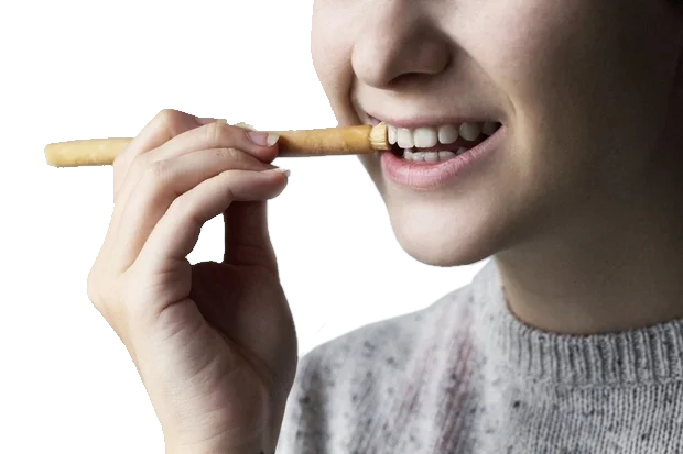 Set Of 10 Fresh Natural Toothbrush Misvak Organic Vegan Herbal Twig Miswak Arak, Siwak, Miswaak مسواك طيبة , Soft 10 Pcs Reis
