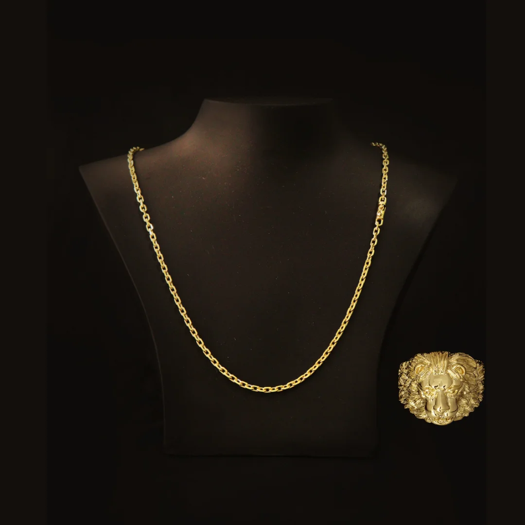 Set Chain + Coin Ring Antique Chain Padlock + Ring Golden Lion Eternal Guarantee in Color (Nordic Gold) 18K Color
