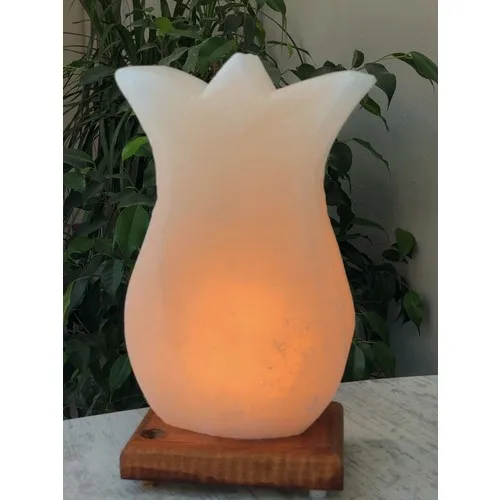 Lampe au sel de roche naturelle, tulipe! * Livraison rapide *!! DE LA TURQUIE