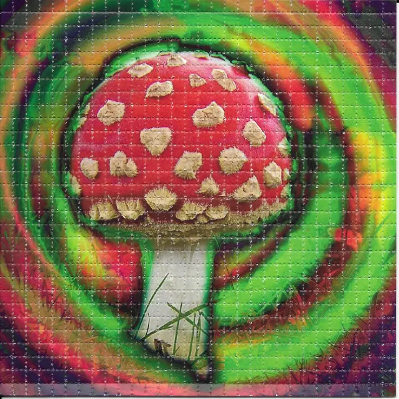 Funky Mushroom Psychedelic LSD/Acid Free Blotter Art Home Decoration Painting Wall Picture Room Decor Canvas Printing Poster