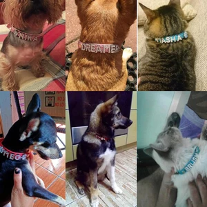 Adınızla kişiselleştirilmiş köpek tasması evcil hayvanlar için dıy ışıltılı köpek tasması elmas tokalı bir köpeğe ve kediye mektuplar, oyuncak, Fransız bulldog Scooby doo köpek tasmasındaki 6 büyük satış-no. 5