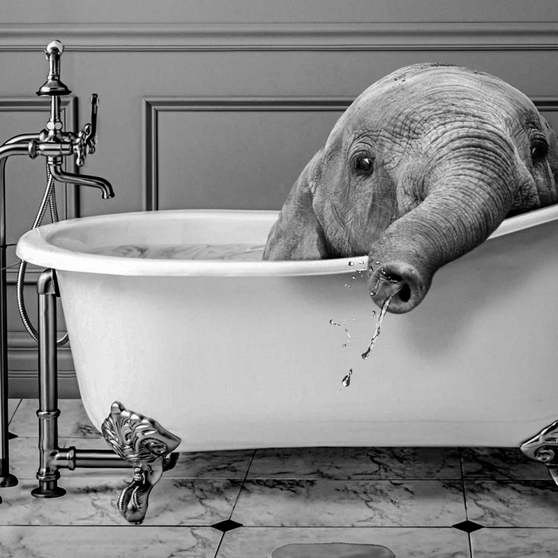 Grappige Zwarte Kat op Toilet Canvas Poster - Badkamer Wanddecoratie