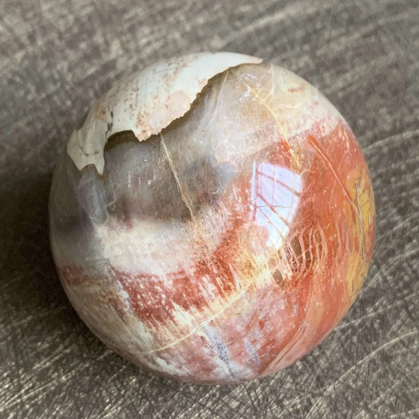 Natural Stone Petrified Wood Sphere Rock Polished Crystal Ball Quartz Feng Shui 2022 Decoration Gift Reiki Healing