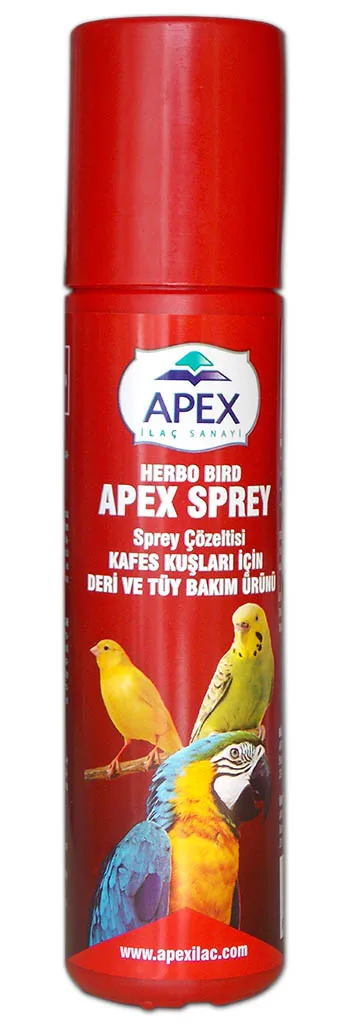 Canary Leather and Feather Care-Apex