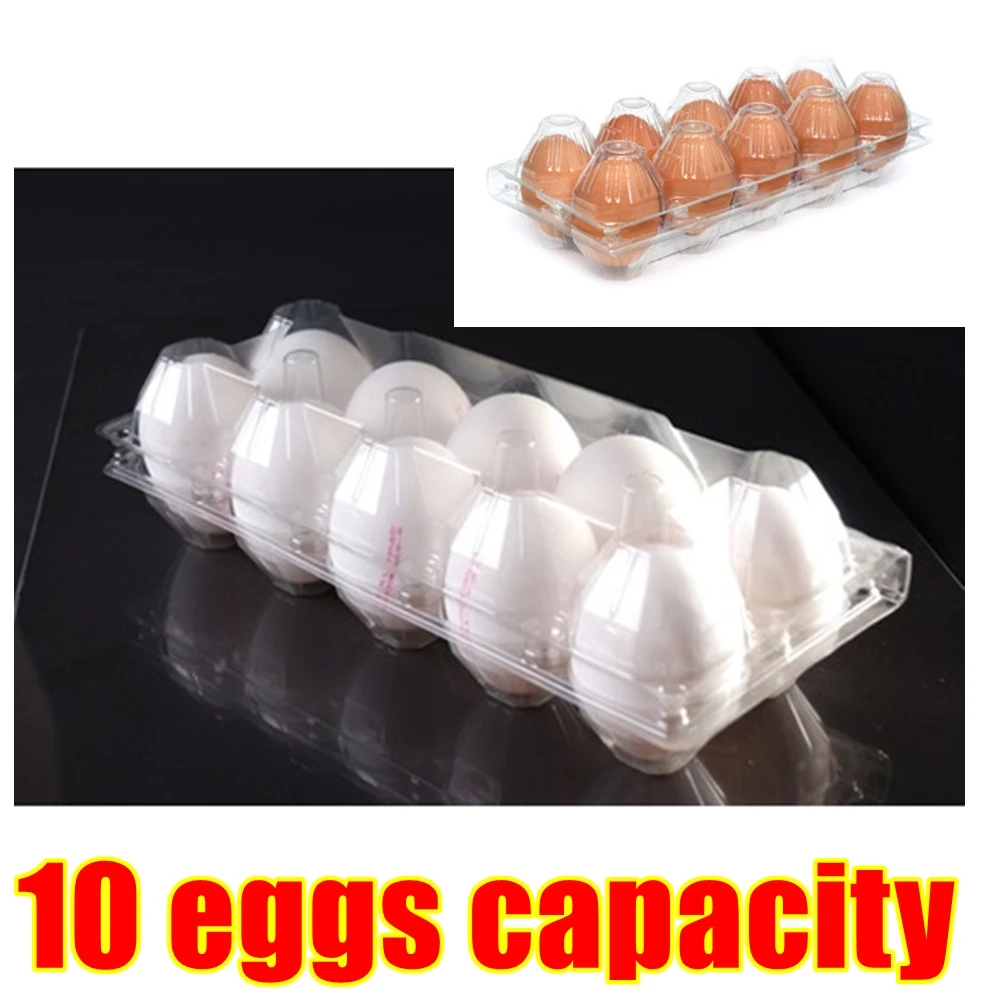 Disposable 10 Holes Eggs Container Plastic Clear Egg Packing Storage Boxes Organizer Racks And Shelf