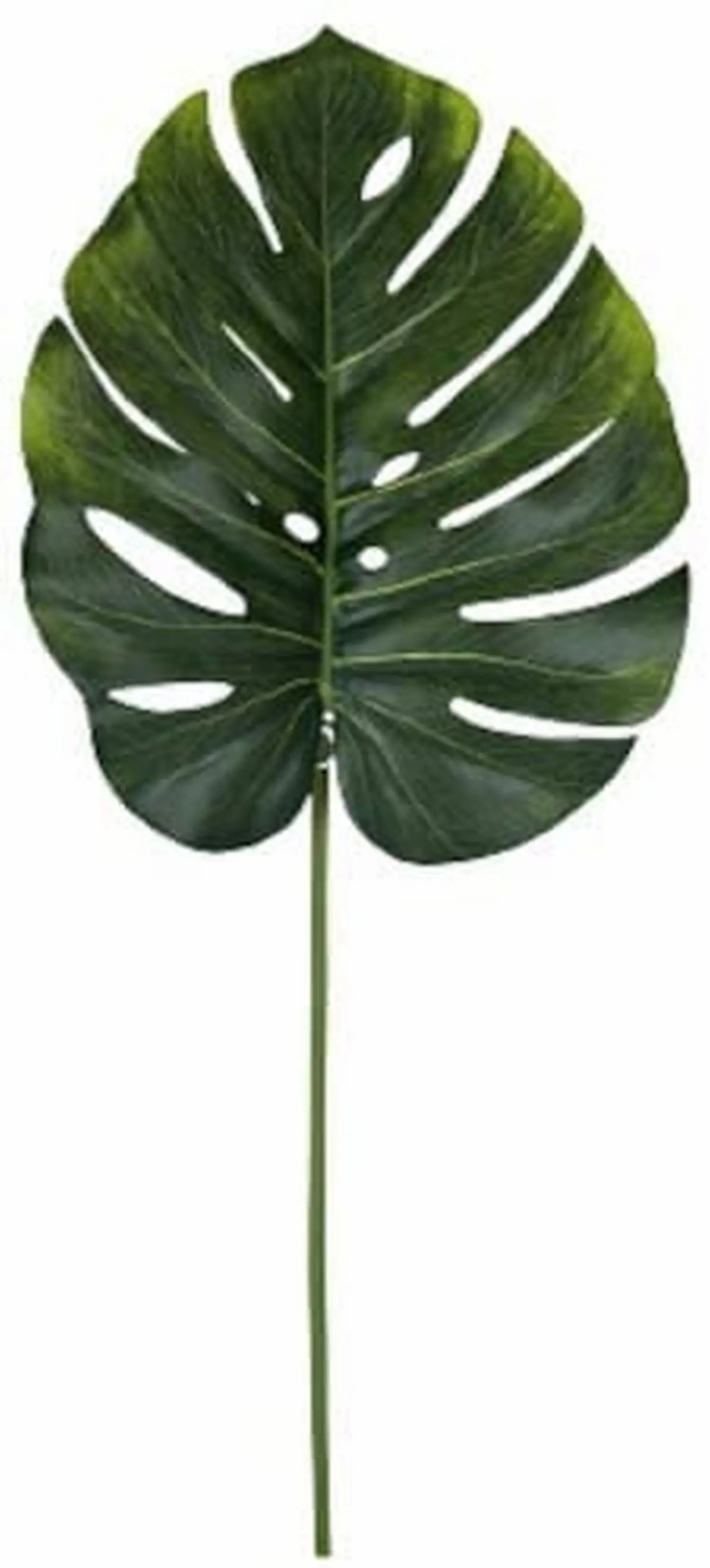 Rod leaf monstera 77 cm accessories home decoration Garden