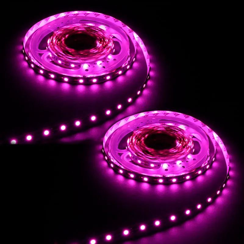 LE strip LED, string lights, 12V 5m 60 LED SMD 5050, 72W 648Lm light purple Color {2 rolls}