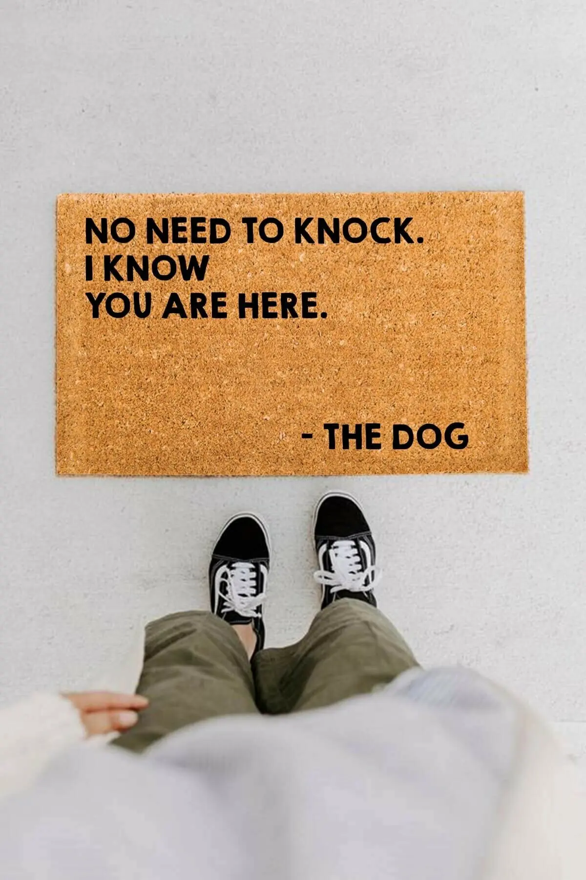 Dog Doormat Entrance Mat Funny Door mat Hello there Indoor Outdoor Decoration Doormat Non-slip Doormat For Entrance Door