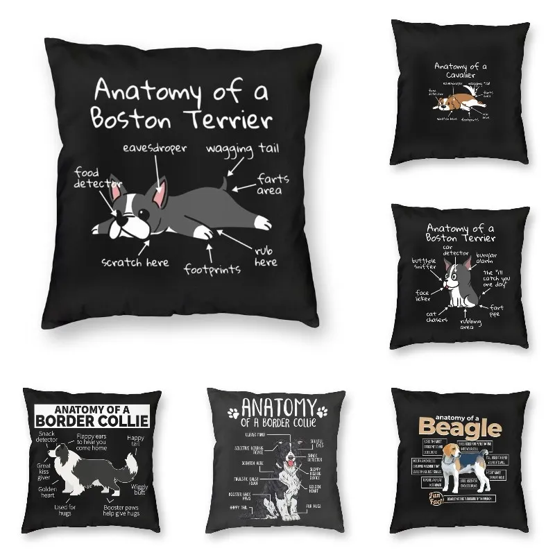 Anatomy Of A Boston Terrier Cushion Covers Sofa Decoration Funny Dog Square Pillow Case Throw Pillow Cover 40x40 Sofa Bed