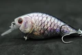HC15X465
