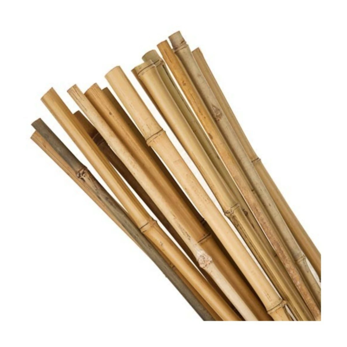 Gardener 163702 Bamboo Support Stick 10 Pcs 6-8mm X 60 cm 100% Natural Plant Support Stick Free fast Shipping From Turkey