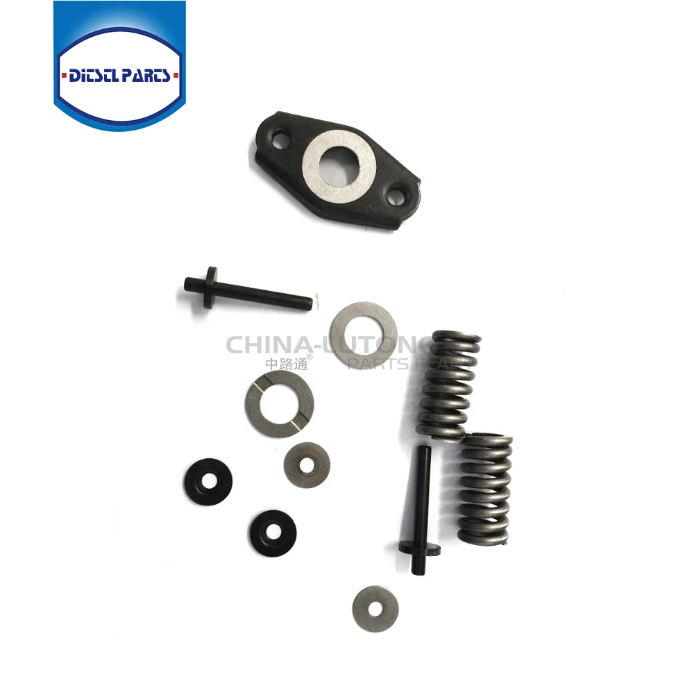 Injection Pump Hydraulic Head Rotor Spring Set, VE Pump Rebuild Kit Spring Set For Bosch Fuel System Diesel Engine Spare Parts