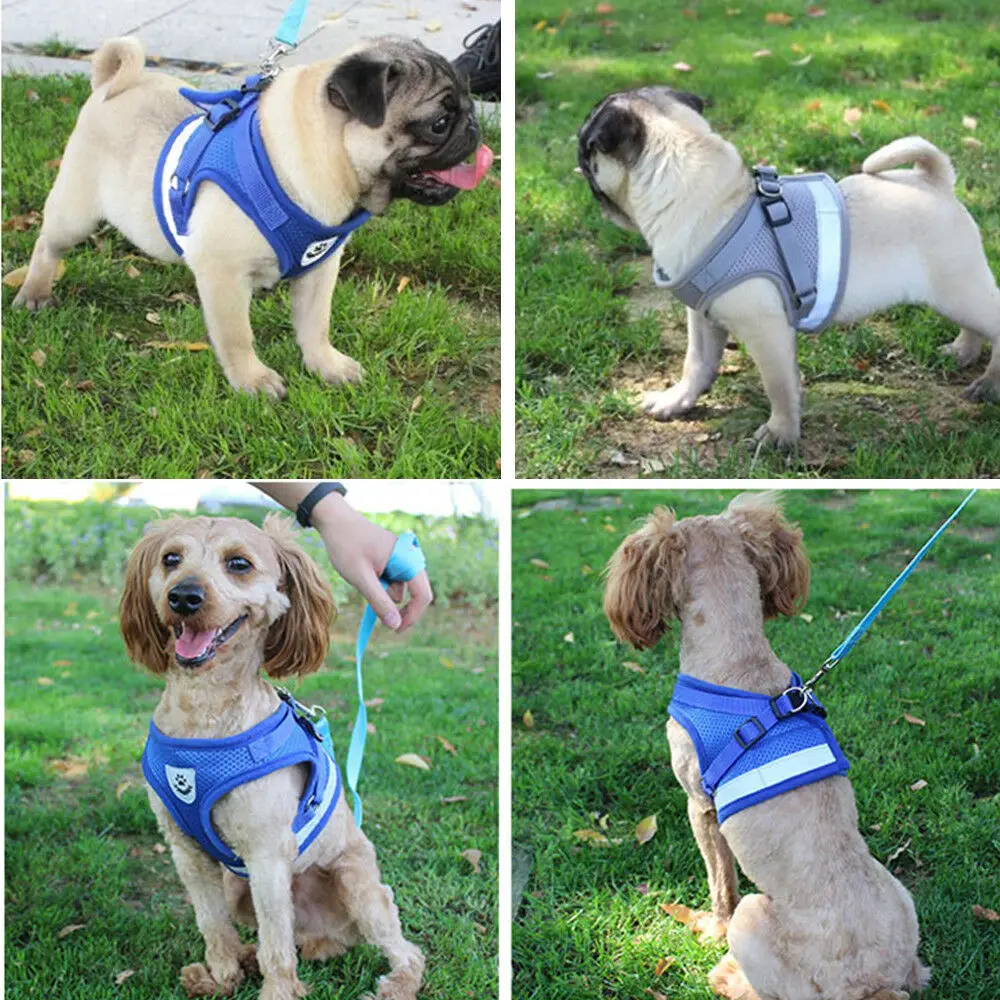 50 Pcs Chest Strap Dog Harness Collar for Puppy Vest Walk Leash Pet Traction Rope  DHLSP