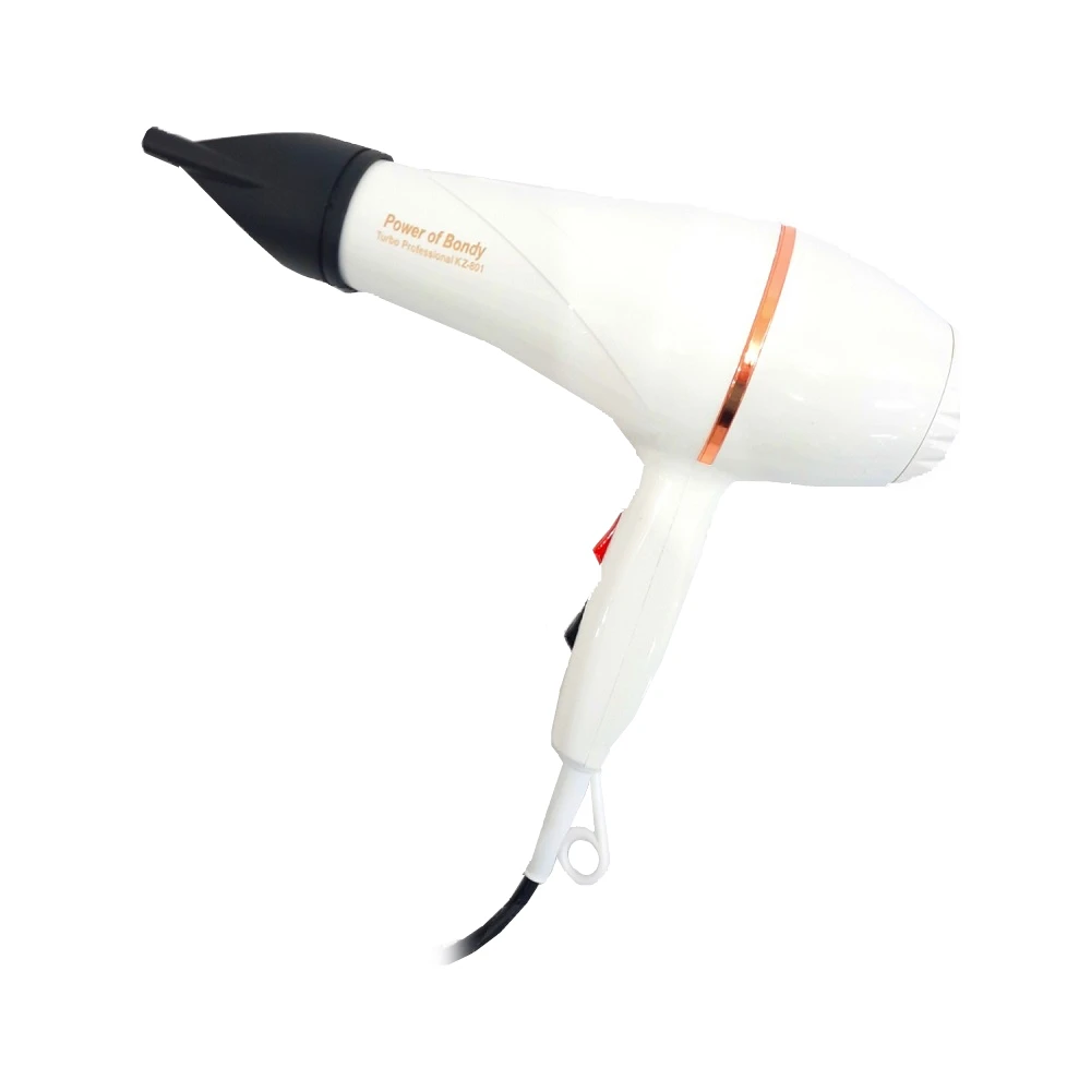 2500ワット220vプロのヘアドライヤー美容サロンヘアスタイリングプロ送風機ヘアドライヤーサロンドライヤー