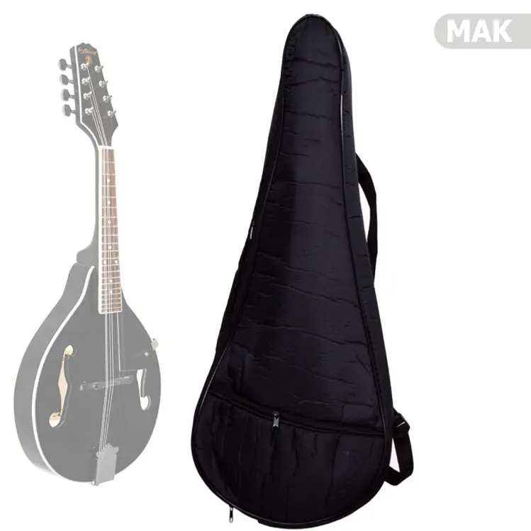 Mandolin Accessory Case MAX