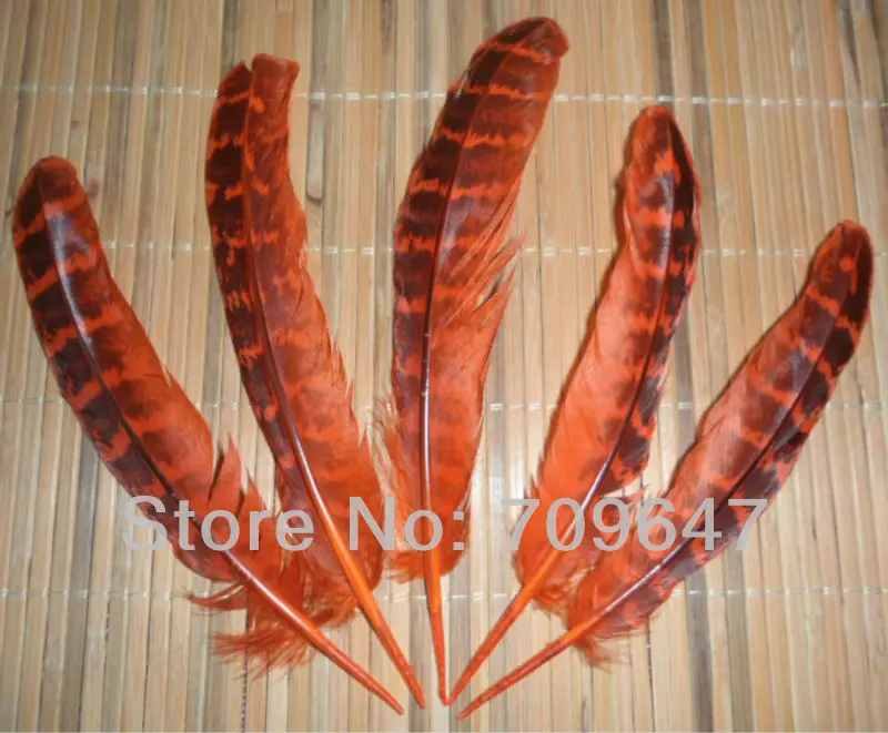 Plumas! 100Pcs/Lot 12-15cm MIXED DYED BEAUTIFUL Ringneck Hen Pheasant Wings FEATHERS for for Jewelry Making,Fly tying materials