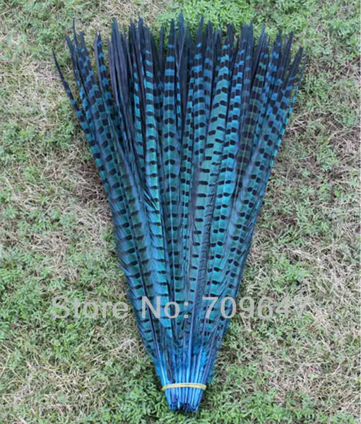 5Pcs/Lot! 45-54CM  Wholesale Colored Ringneck Pheasant Tail Feathers for Crafts  Large Decorative Feather Tail Festival Carniva