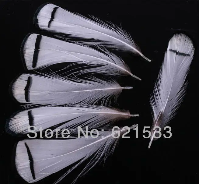 100Pcs/Lot 5-8cm long Loose BLACK&WHITE Lady Amherst Pheasant Tippet Feathers,Lady Amherst Plumage Feathers