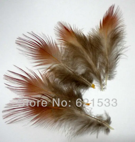 200Pcs/Lot 5-8cm Rusty Red Golden Pheasant Plumage Feathers for fascinators, bridal wear, crafts