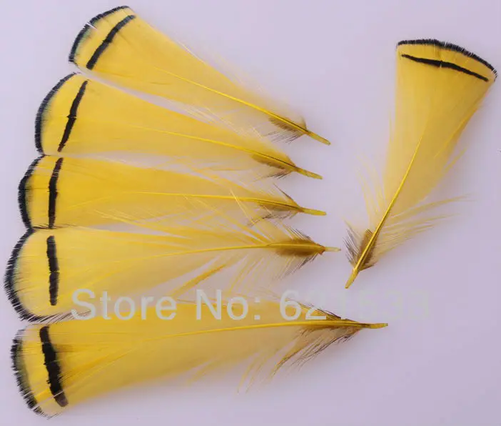 100Pcs/lot Natural Yellow Lady Amherst Feathers,Exotic Craft  Pheasant Feathers 4-9CM Long