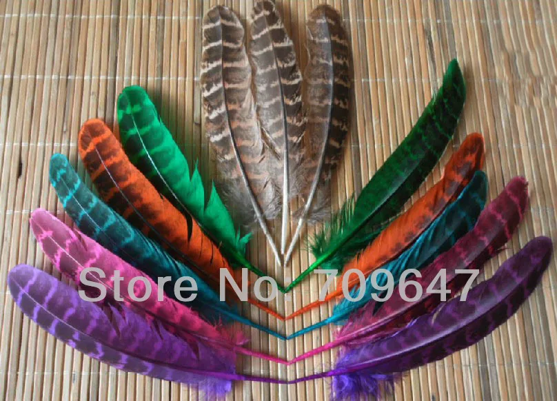 Plumas! 100Pcs/Lot 12-15cm MIXED DYED BEAUTIFUL Ringneck Hen Pheasant Wings FEATHERS for for Jewelry Making,Fly tying materials