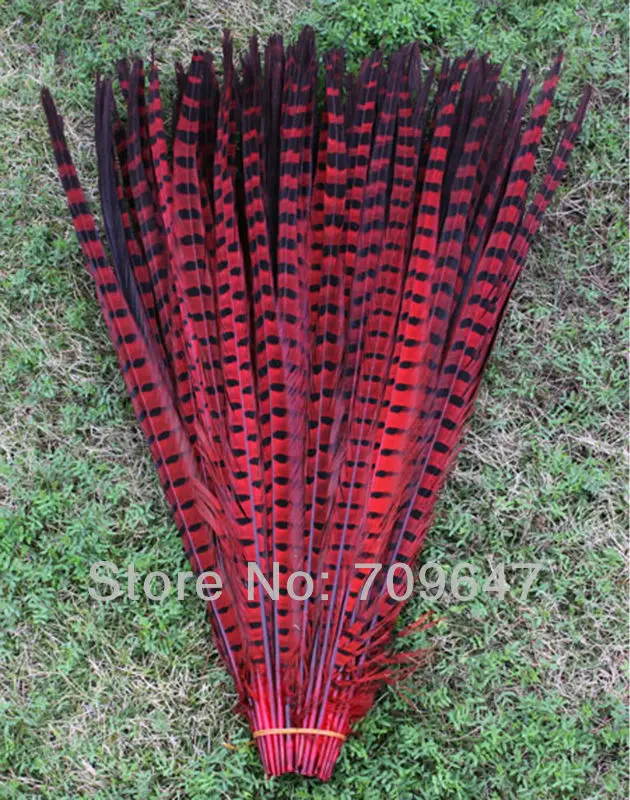 5Pcs/Lot! 45-54CM  Wholesale Colored Ringneck Pheasant Tail Feathers for Crafts  Large Decorative Feather Tail Festival Carniva