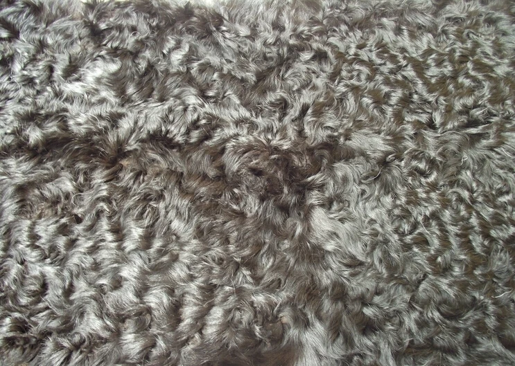 Beautiful Tibet Lamb Fur plates/High Quality Tibet Lamb Fur plates