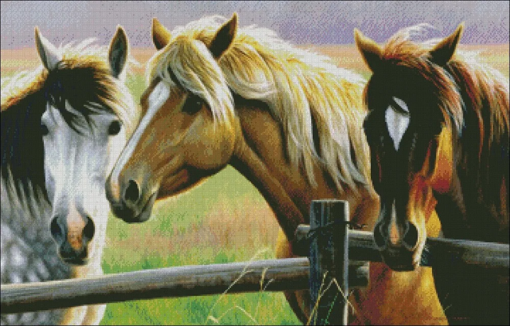 Horse Fence - Counted Cross Stitch Kits - Handmade Needlework for Embroidery 14 ct Cross Stitch Sets DMC