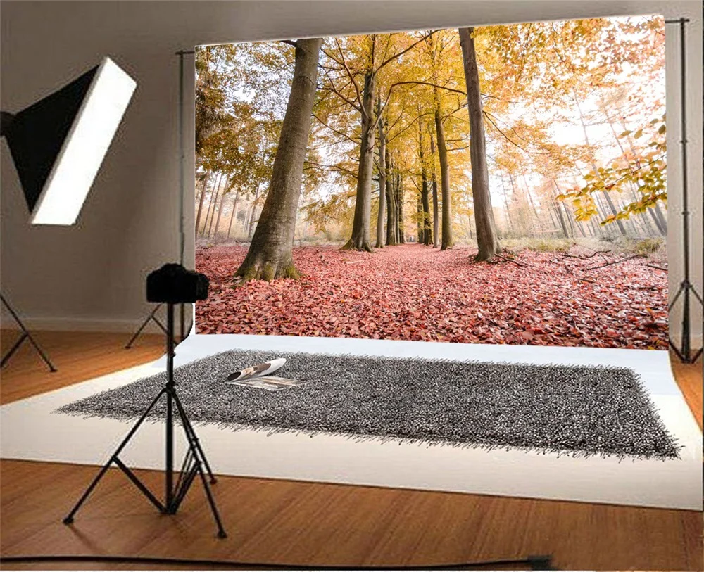 Laeacco Autumn Fallen Leaves Tree Forest Scenic Photography Backgrounds Customized Photographic Backdrops For Photo Studio